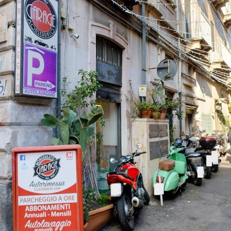 Homely Catania - Vacation Home - 25