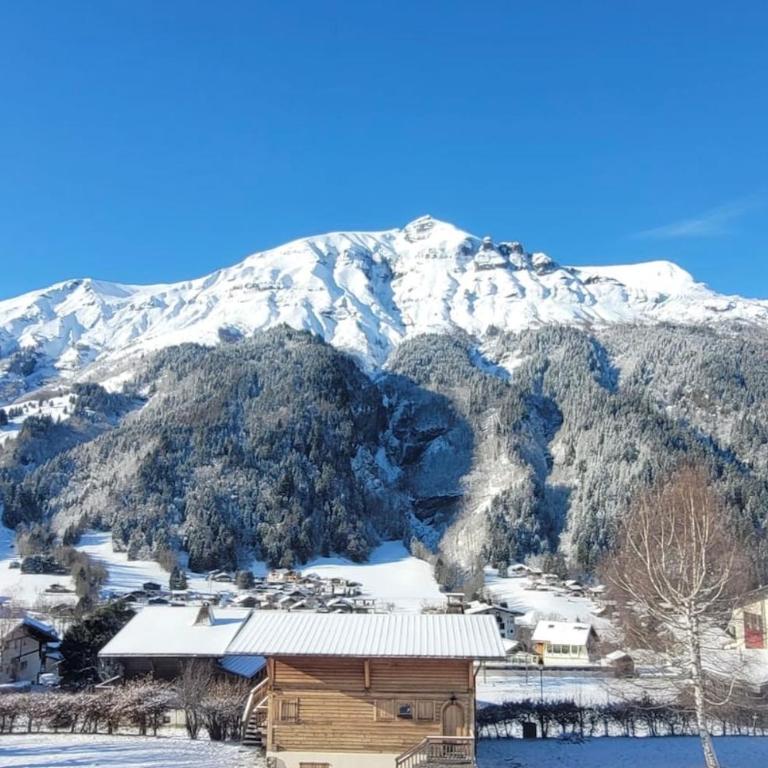 Chalet mitoyen - Jacuzzi - Cousinade I - Chalet Supérieur - 56
