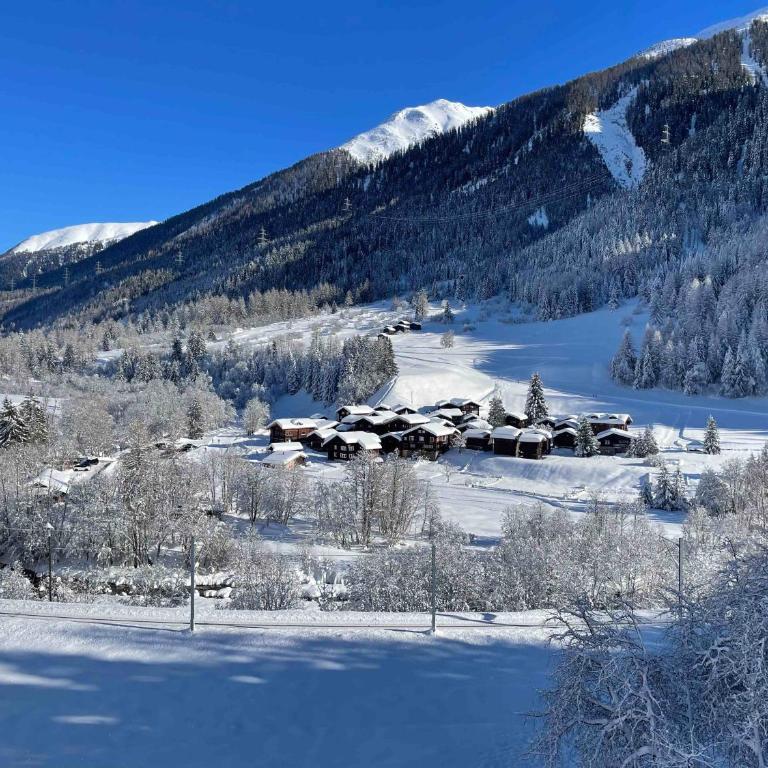 Haus Bortis - Appartamento con 1 Camera da Letto - 23