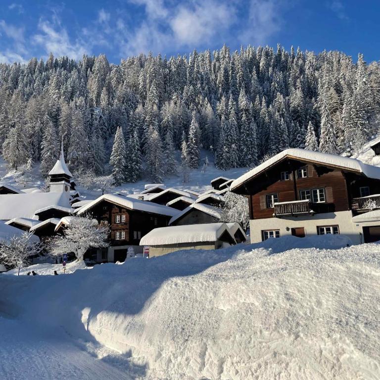 Haus Bortis - Appartamento con 1 Camera da Letto - 20