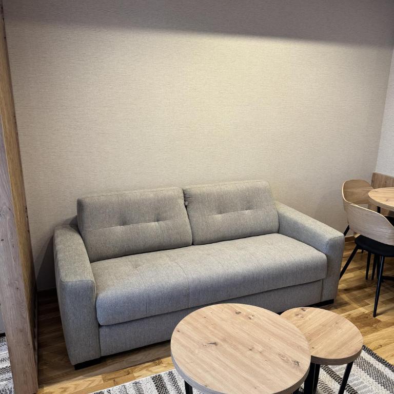 Apartman A55 Aparthotel Vučko privatni apartman - Apartman sa 1 Spavaćom Sobom - 8