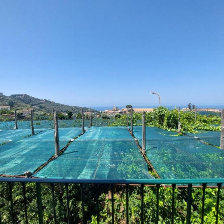 Il Pozzillo Maison - Appartamento con 1 Camera da Letto, Balcone e Vista Mare - 7