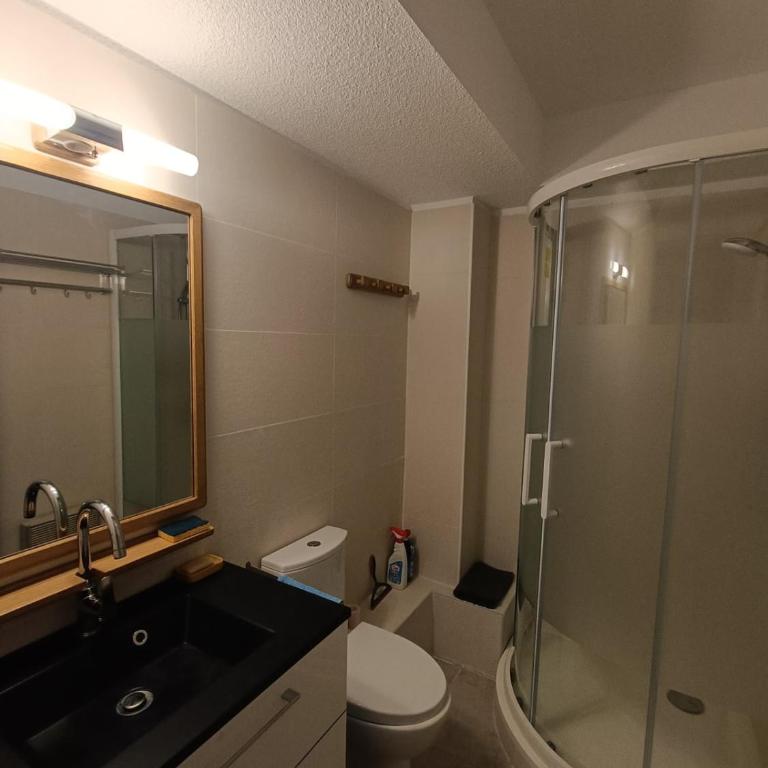 Appartement cosy à Albiez-Montrond proche pistes - Appartement - 4