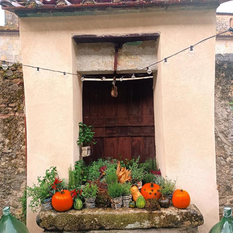 Badia Giulia Prestigious Historical B&B, Camaiore - Adults Only - No Pets - Camera Queen Deluxe - 10