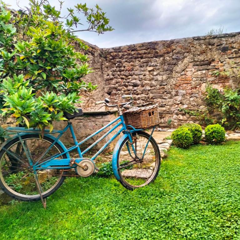 Badia Giulia Prestigious Historical B&B, Camaiore - Adults Only - No Pets - Camera Queen Deluxe - 9