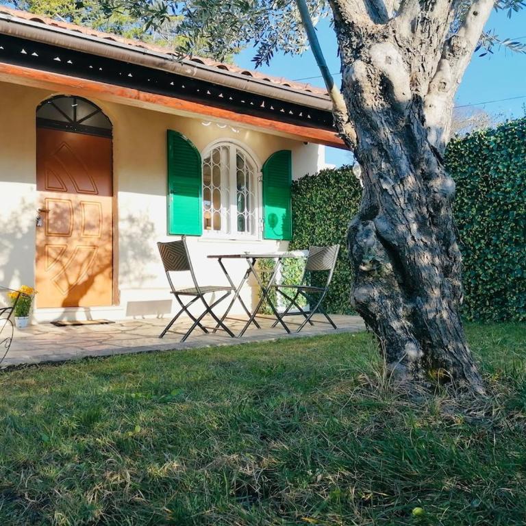 Studio l'olivier - Apartamento de 1 dormitorio - 1