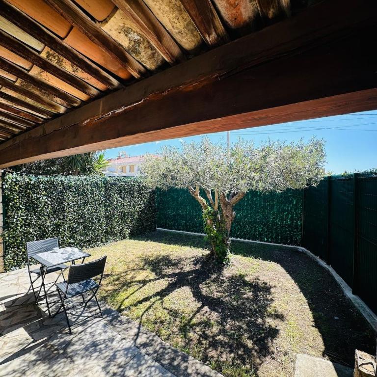Studio l'olivier - Apartamento de 1 dormitorio - 6