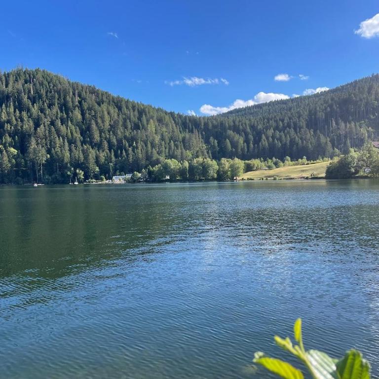 Appartement meublé T2 le G de Gérardmer - Appartement 1 Chambre - 12