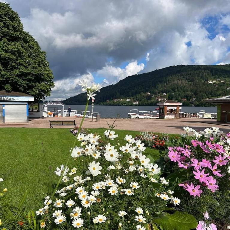 Appartement meublé T2 le G de Gérardmer - Appartement 1 Chambre - 16