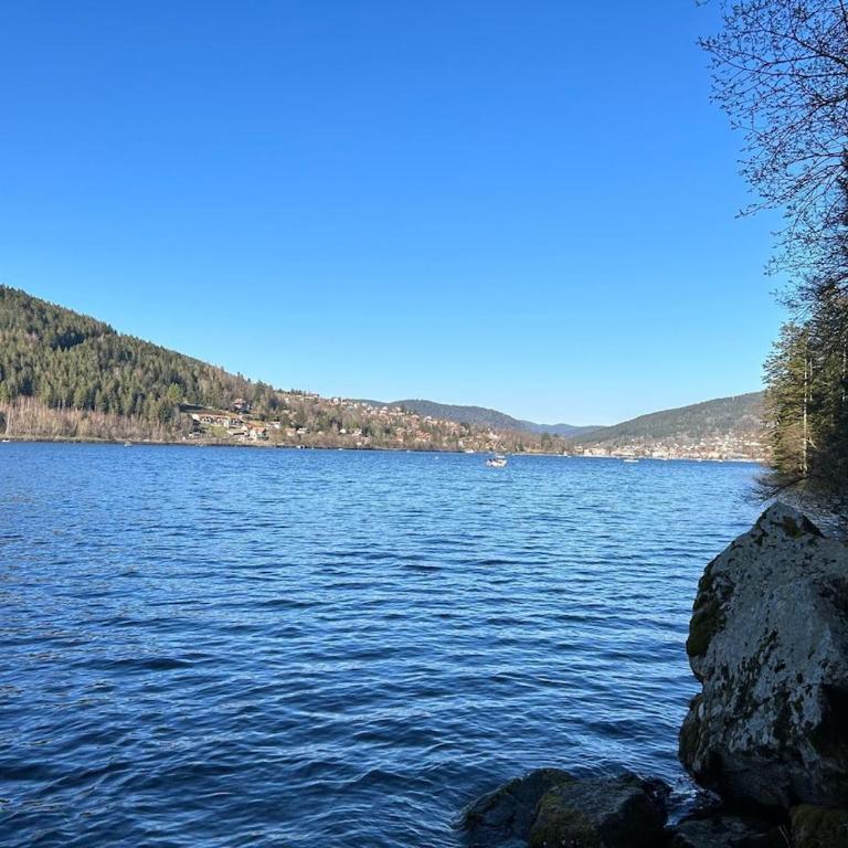 Appartement meublé T2 le G de Gérardmer - Appartement 1 Chambre - 19