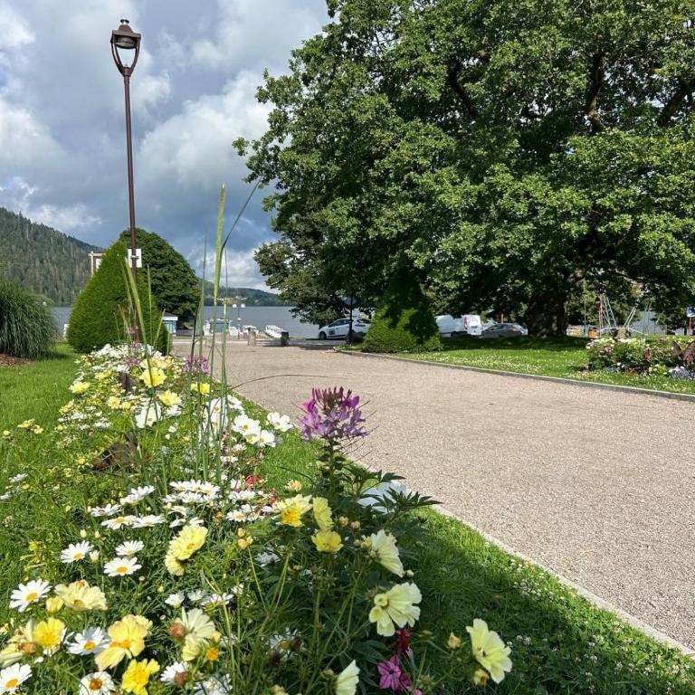 Appartement meublé T2 le G de Gérardmer - Appartement 1 Chambre - 17