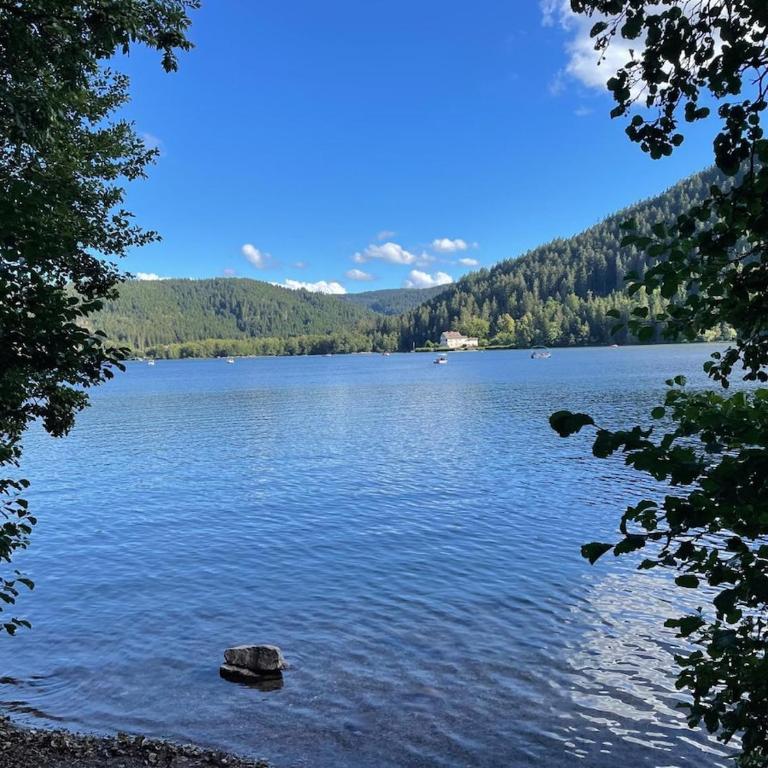 Appartement meublé T2 le G de Gérardmer - Appartement 1 Chambre - 20