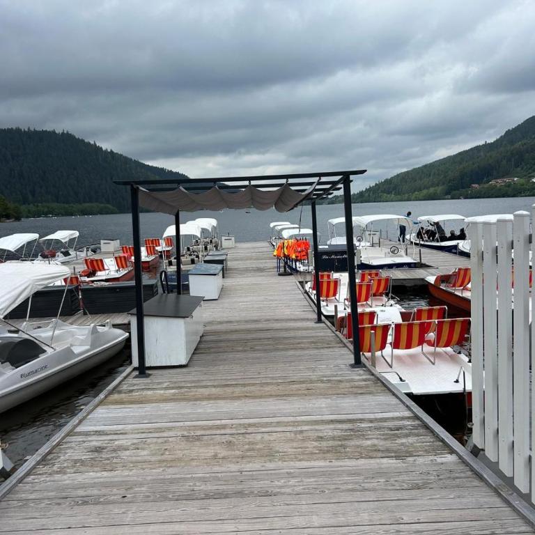 Appartement meublé T2 le G de Gérardmer - Appartement 1 Chambre - 22