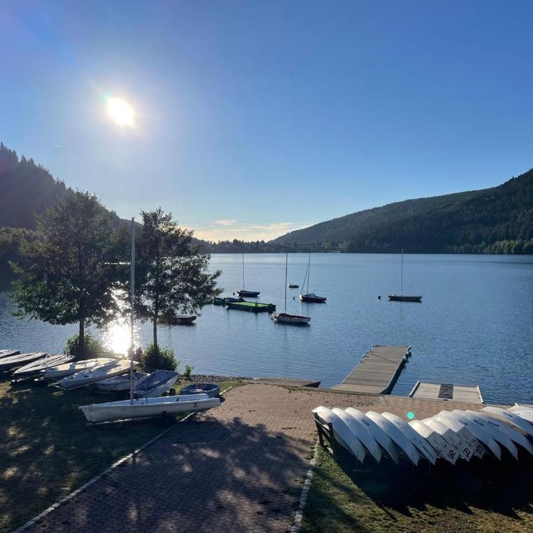 Appartement meublé T2 le G de Gérardmer - Appartement 1 Chambre - 21