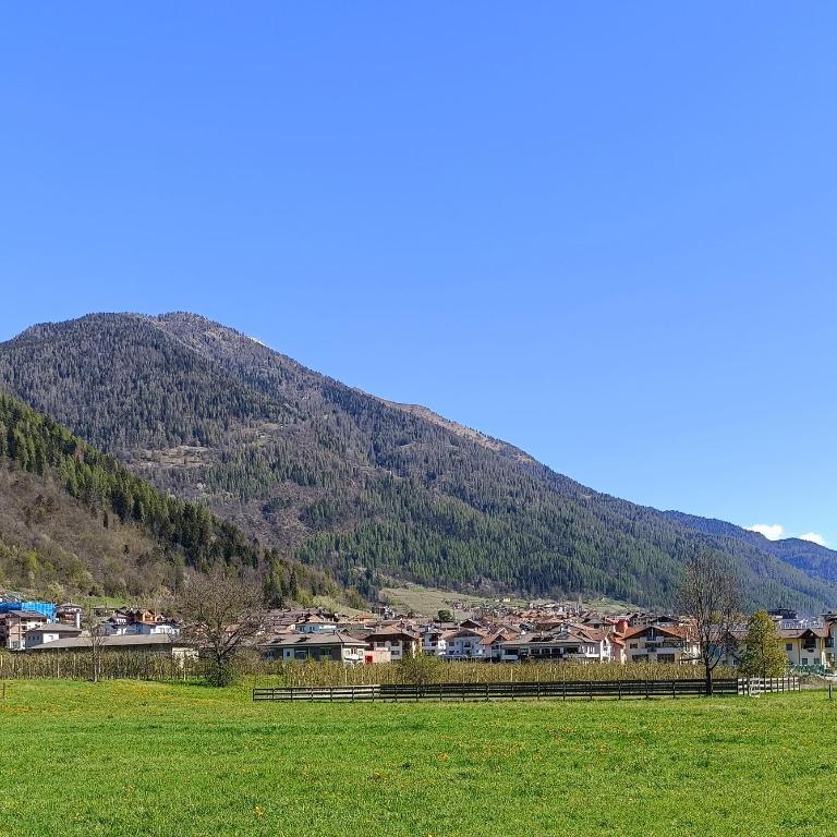 Cevedale-Valdisole - Apartamento de 2 dormitorios con balcón - 19