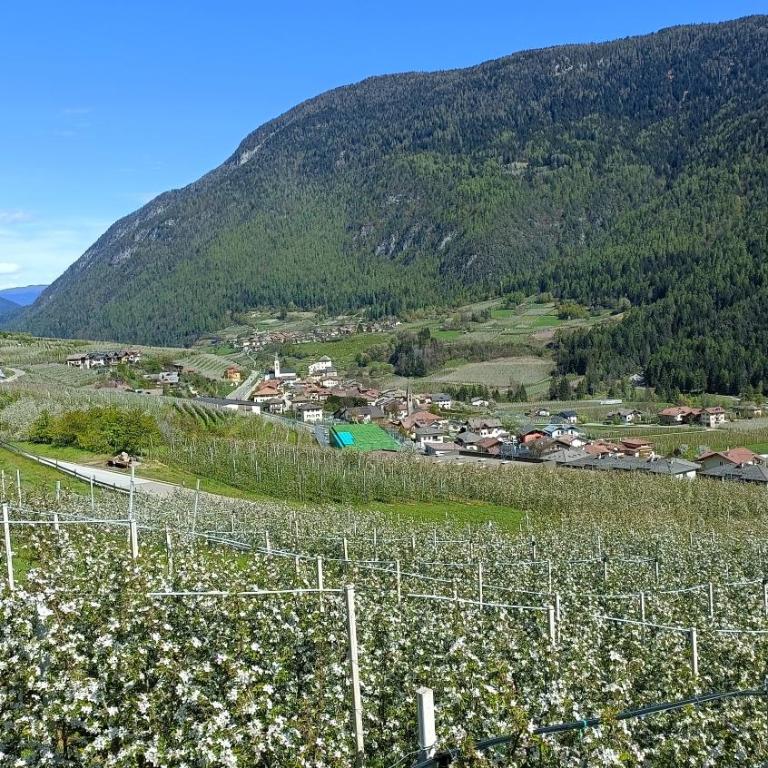 Cevedale-Valdisole - Apartamento de 2 dormitorios con balcón - 20