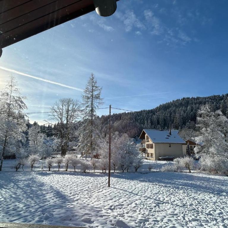 Appartement meublé T2 le G de Gérardmer - Appartement 1 Chambre - 10