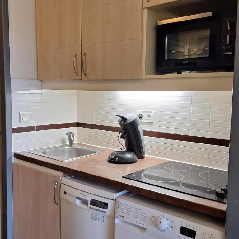 CAP ESTÉREL studio 4 pers équipé, belle vue Golf, centre village PIERRE & VACANCES , PARKING inclus et 5 PISCINES accès gratuit, CLIM, WIFI, TV, lave-vaisselle et lave-linge,four, plancha - Appartement 1 Chambre - 6