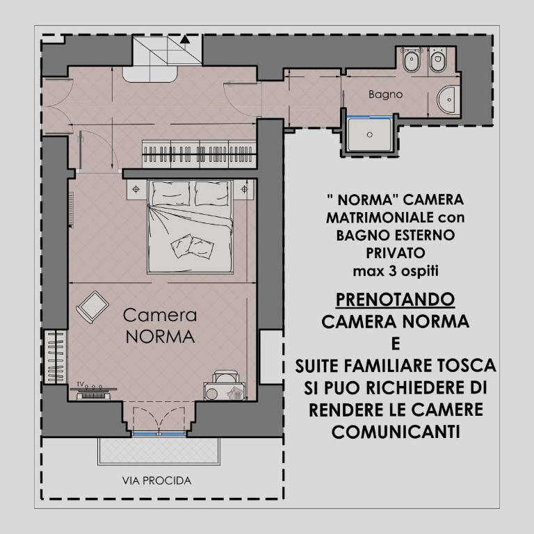 Palazzo Dogana Room&Suite - Camera Matrimoniale/Doppia con Letti Singoli con Bagno Privato Esterno - 10