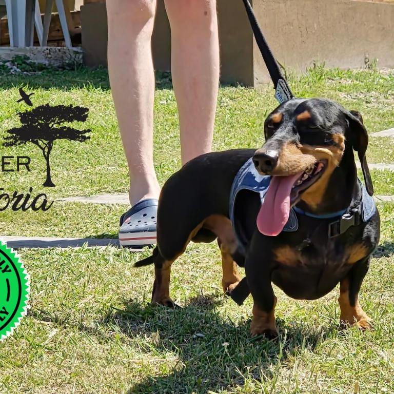 Cabañas Atardecer en Victoria - Bungalow Familiar - 21