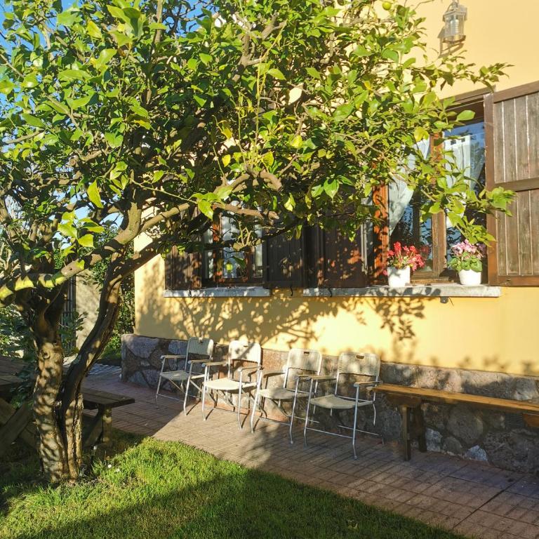 Chalet céntrico costero en Gijón - Casa de 3 dormitorios - 2