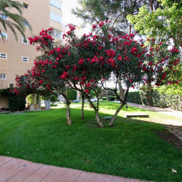 TESS Playamar La Torre - Apartamento con 4 dormitorios - 37