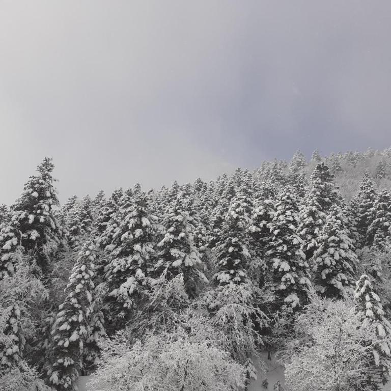 Le duplex de Dana, Gresse en Vercors, Alpes du Nord, classement 3 étoiles par Atout France - Maisonette-Apartment - 30