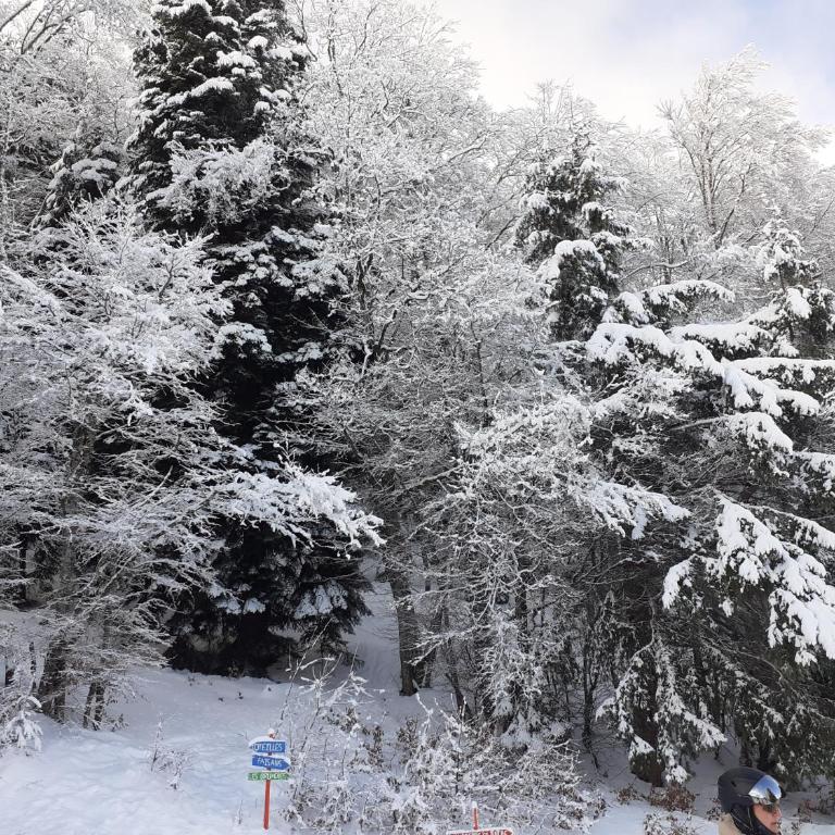 Le duplex de Dana, Gresse en Vercors, Alpes du Nord, classement 3 étoiles par Atout France - Maisonette-Apartment - 36