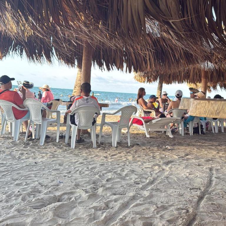 Playa y selva - Apartamento de 1 dormitorio - 5
