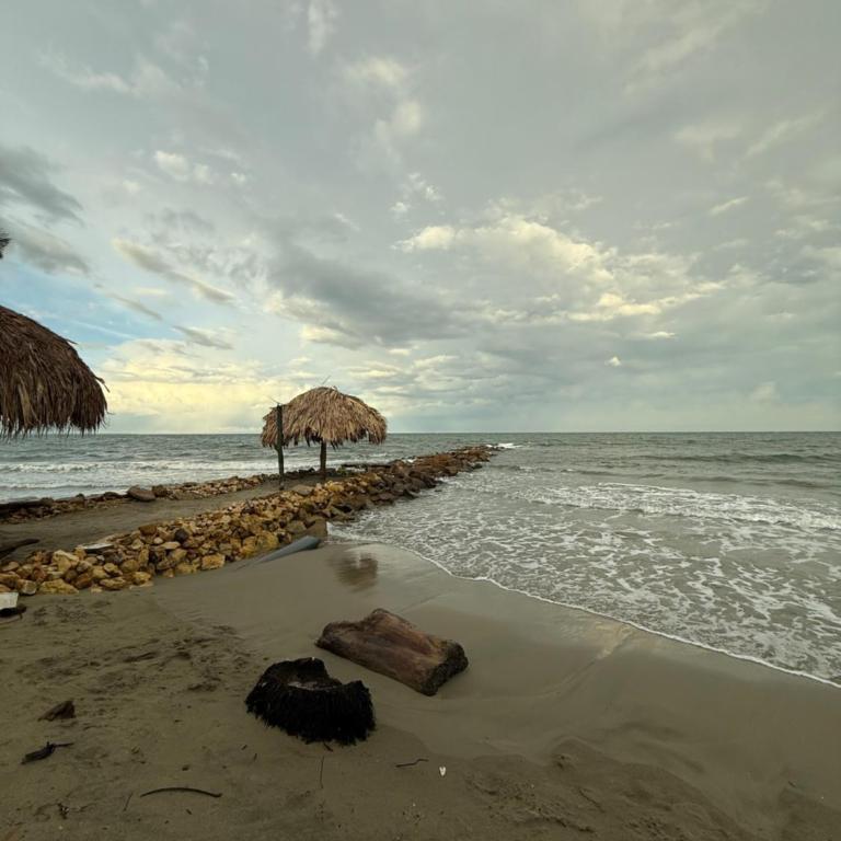 Playa y selva - Apartamento de 1 dormitorio - 6