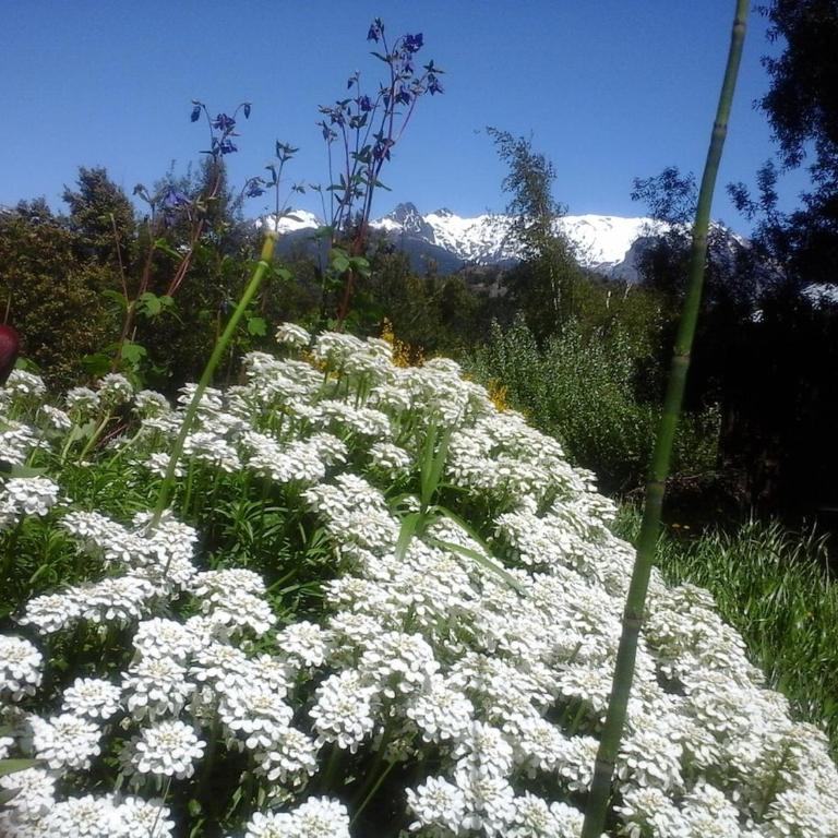 De luz, flores y montaña - One-Bedroom House - 19