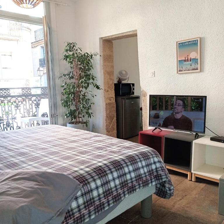 le balcon de Saint Roch - Appartamento con 1 Camera da Letto - 23