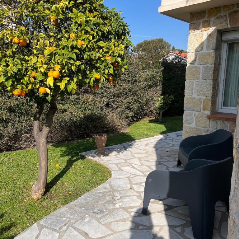 Welcome to Belle Provence - Villa - 4