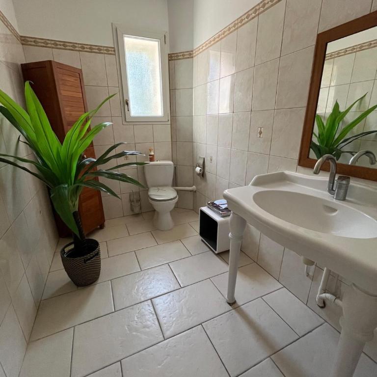 Welcome to Belle Provence - Villa - 8
