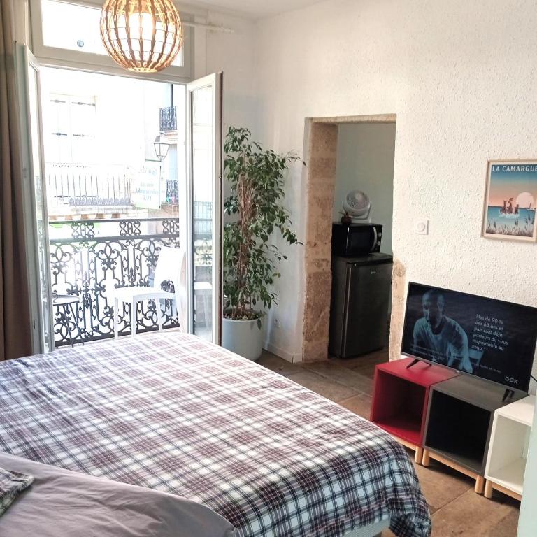 le balcon de Saint Roch - Appartamento con 1 Camera da Letto - 19