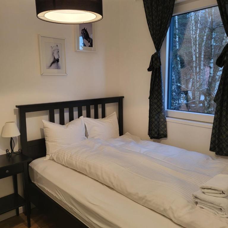 Apartman Jovanovic Kopaonik - One-Bedroom Apartment - 8