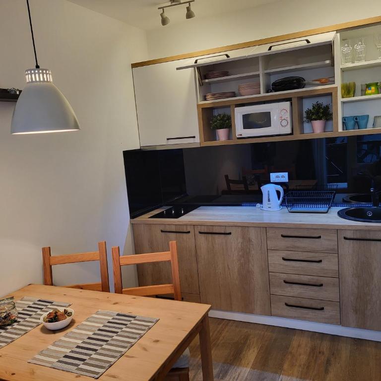 Apartman Jovanovic Kopaonik - One-Bedroom Apartment - 6