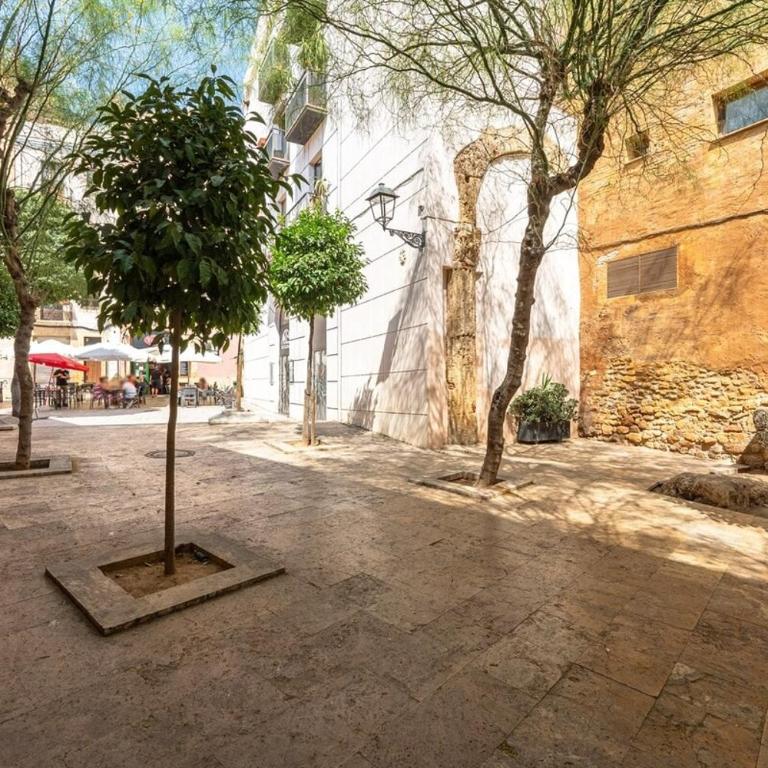 TGN-HistoricCenter-PlayaMediterrani-Gastro-WiFi-AC14 - Apartamento de 2 dormitorios - 41