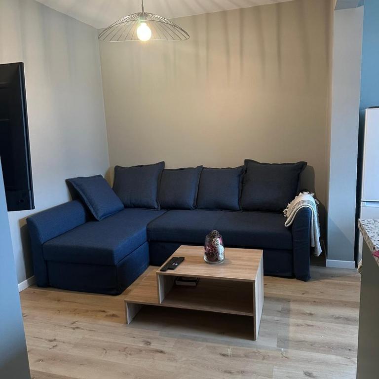 Coup de coeur Grenoblois - Appartement 1 Chambre - 1