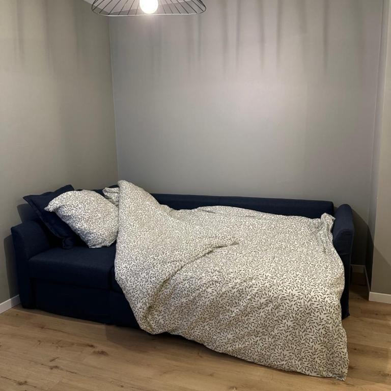 Coup de coeur Grenoblois - Appartement 1 Chambre - 8
