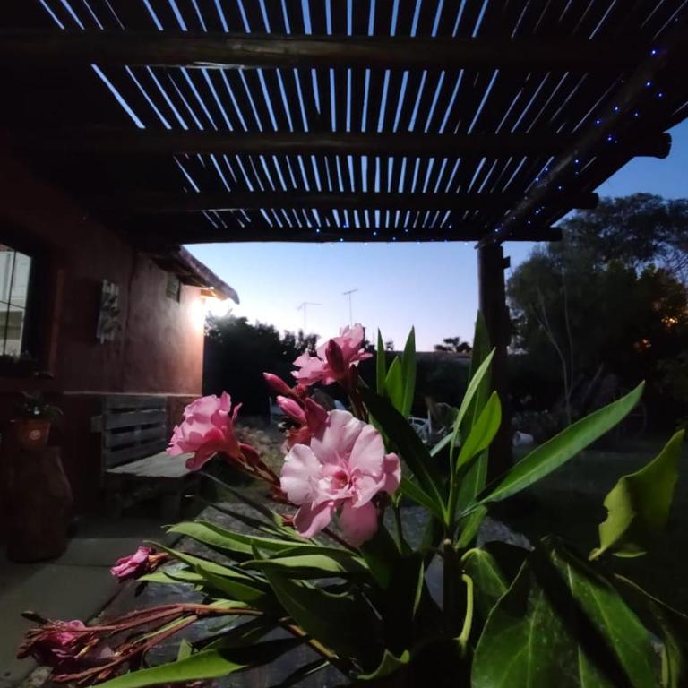 F R F departamentos turisticos Nº 2 - Apartment with Garden View - 3