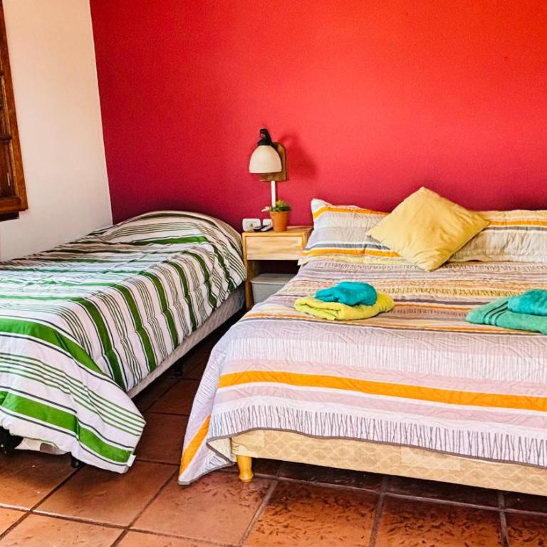 La Casa Nostra - Casa Unifamiliar de 3 dormitorios - 25