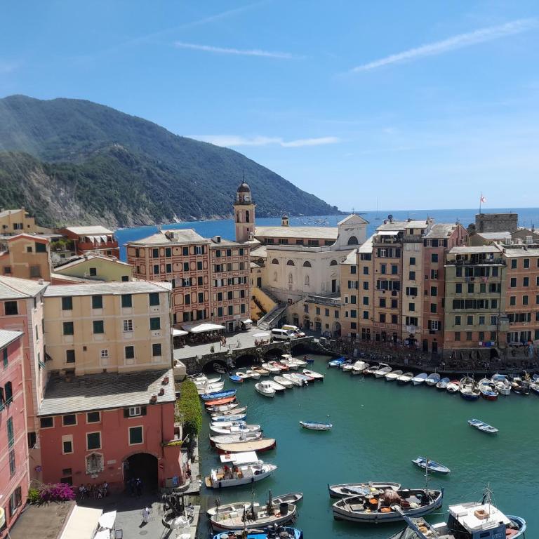 Sea view Camogli Portofino - Appartamento con 1 Camera da Letto - 21