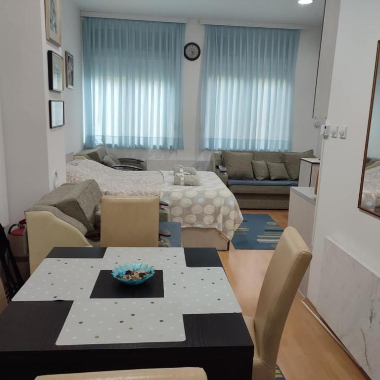 Smeštaj Vesna - Apartman sa 1 Spavaćom Sobom - 3