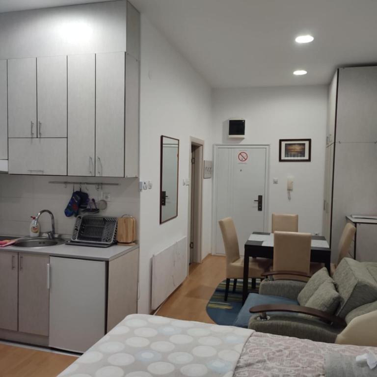Smeštaj Vesna - Apartman sa 1 Spavaćom Sobom - 6