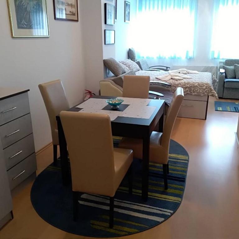 Smeštaj Vesna - Apartman sa 1 Spavaćom Sobom - 7