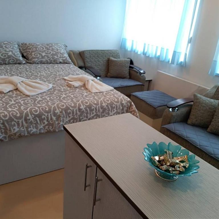 Smeštaj Vesna - Apartman sa 1 Spavaćom Sobom - 10