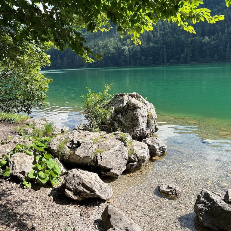 Family Friendly Mountain House - Apartment mit 3 Schlafzimmern - 42