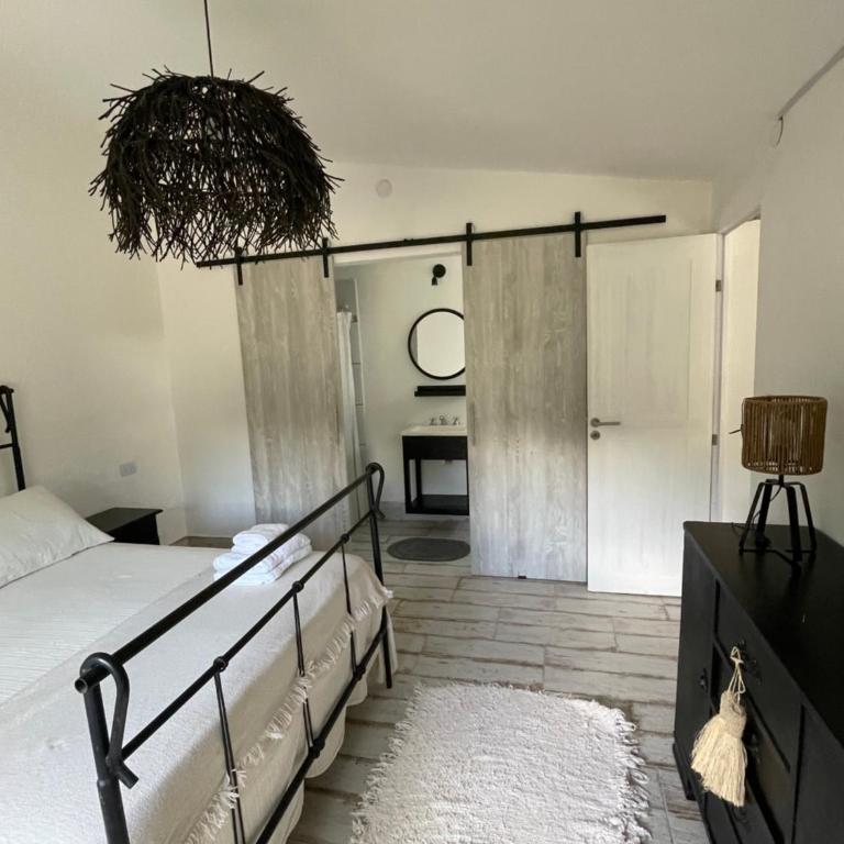 Serena - One-Bedroom Apartment - 18