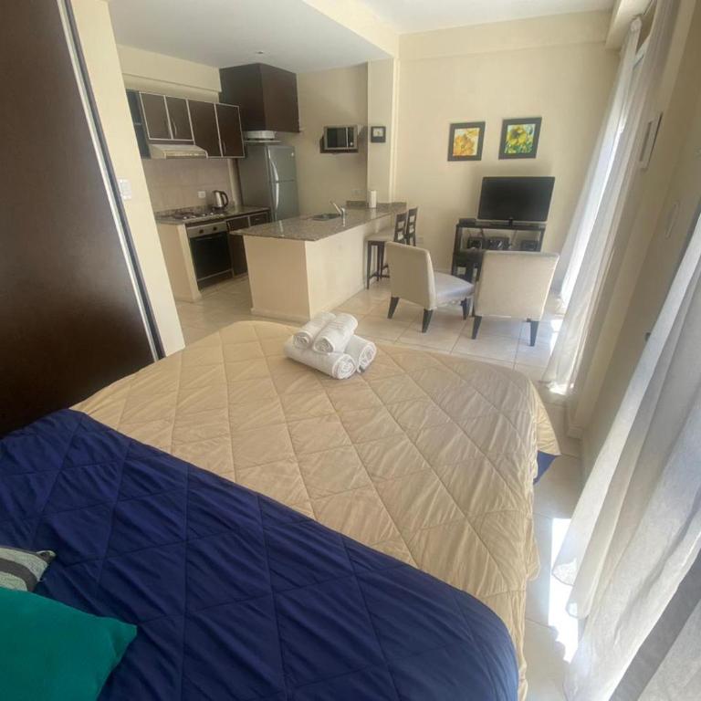 Arenales Suites - Estudio Superior - 3